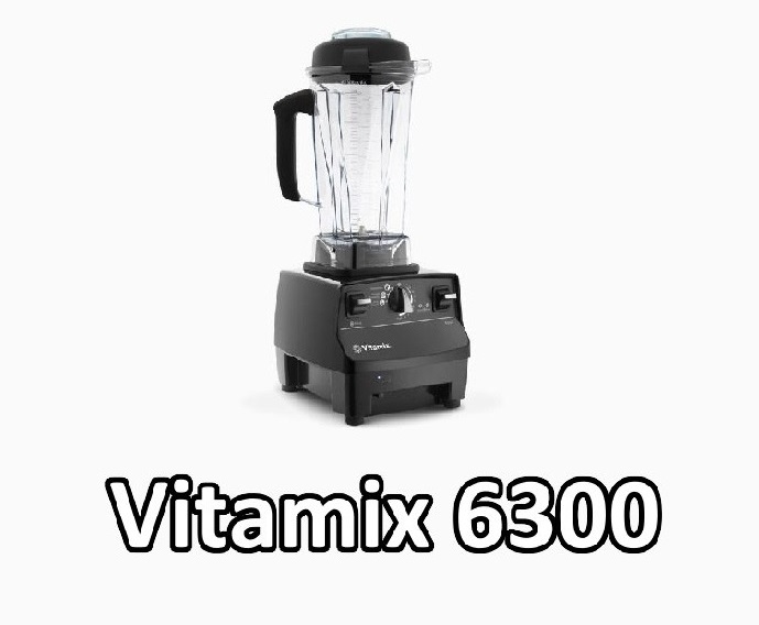 vitamix 6300