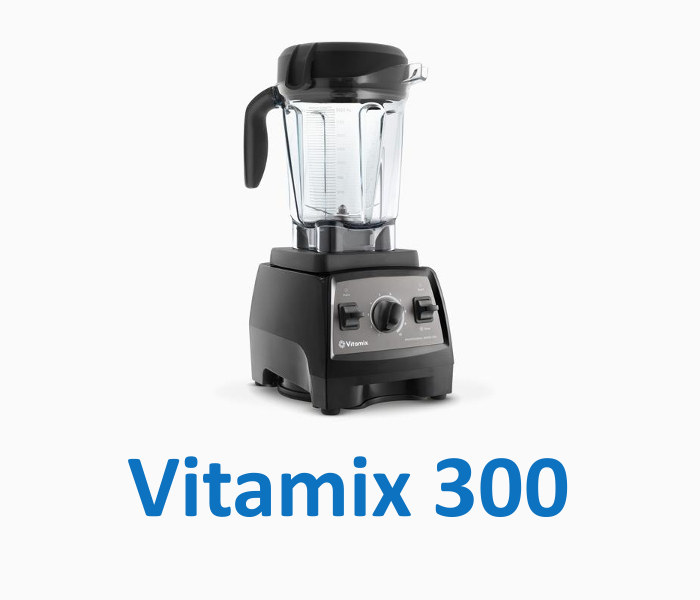 vitamix professional series 300