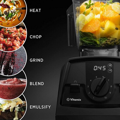 Vitamix V1200 Capabilities